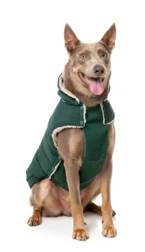 Essential Puffer Jacket - Forrest Green